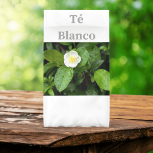 Té Blanco – Camellia sinensis