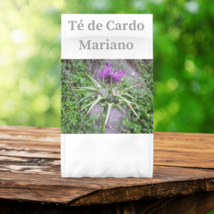 Cardo Mariano – Silybum marianum L.